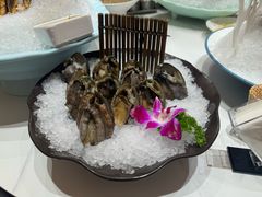 -帝皇海海鲜豆捞(桐泾商务广场店)
