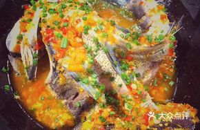 Iron Pot Male Fish