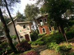 -铁山坪森林公园