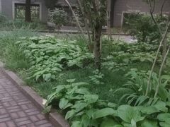 -中青旅山水时尚酒店餐厅(雁栖店)