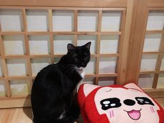 -小时光咖啡馆(开森度假森林店)
