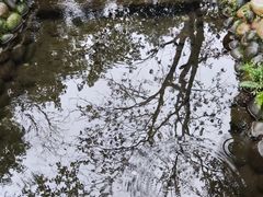 -成都市活水公园