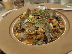 -洞庭家宴·头牌甲鱼(广渠门店)
