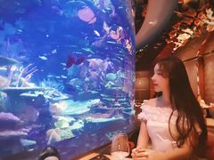 -迪拜帆船酒店海底餐厅