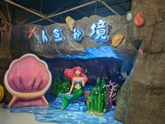 -海合安青岛极地海洋公园