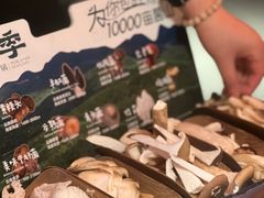 -芸山季·云南山珍菌火锅(人民广场来福士店)