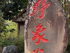 -野象谷景区