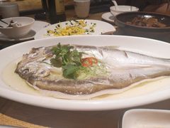 -新梅华(太仓万达店)