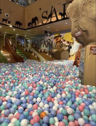 -卡通尼·Safari非洲探索乐园·生日会(金桥国际商业广场店)