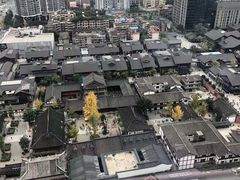 -成都尼依格罗酒店