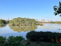 -海珠湖公园