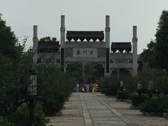 -志龙皇冠吃货椰子铺