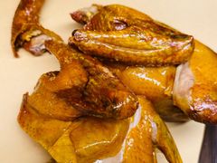 -鸽子侯·家宴·平价海鲜(市图书馆店)