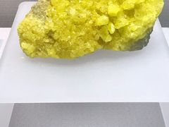 -湖南省地质博物馆