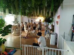 -Husky Go! 哈士奇体验馆·宠物咖啡厅狗咖