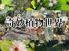 -国家植物园南园