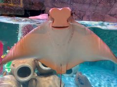 -沈阳海洋探索中心