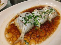 清蒸鮸鱼-华盛丰温州大排档(东三环南路店)