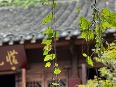 -老门东历史文化街区