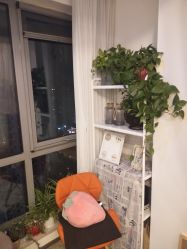 -笑美甲美睫工作室