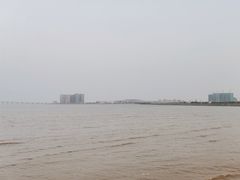 -观澳平台