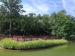 -西安市长乐公园
