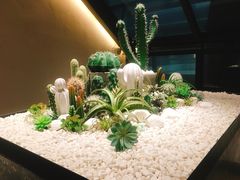 -大树餐厅(红旗街万达店)