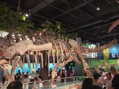 -国家自然博物馆