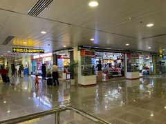 -胡志明新山一国际机场