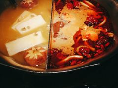 台式麻辣花胶鸡鸳鸯锅-湊湊火锅·茶憩(世博大道店)