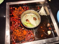 菌汤鸳鸯锅-蜀江龙火锅(339店)