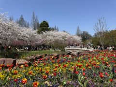 -苏州上方山国家森林公园