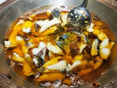 -雲蜀龙阁·金牌水煮鱼(方庄店)