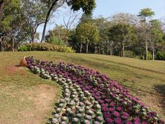 -云溪植物园