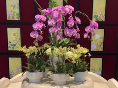 -新长福(世嘉店)