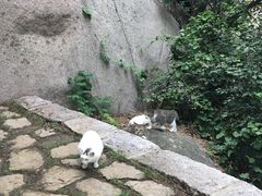 -崂山仰口游览区