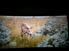 android_upload_pic-UME影城(安贞DTS:X店)