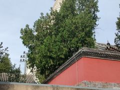 -妙应寺白塔