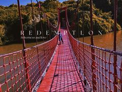 -上海吴淞炮台湾国家湿地公园