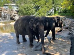 -北京野生动物园