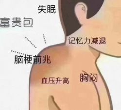 -香薇妮丝·定制减肥·身材管理