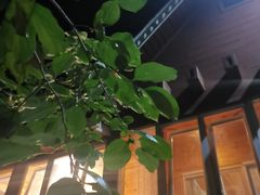 -俄罗斯风情园