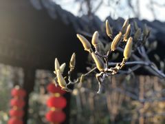 -南京东郊国宾馆