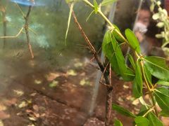 -上海昆虫博物馆