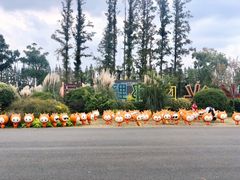 -上海长兴岛郊野公园