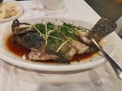 清蒸老虎斑-廣味潮鲜·一品潮滋味(五道口店)