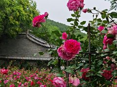 -晋祠博物馆