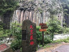 -望天鹅景区