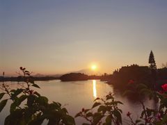 -三垟湿地