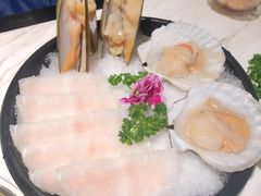 -汤城·料青山